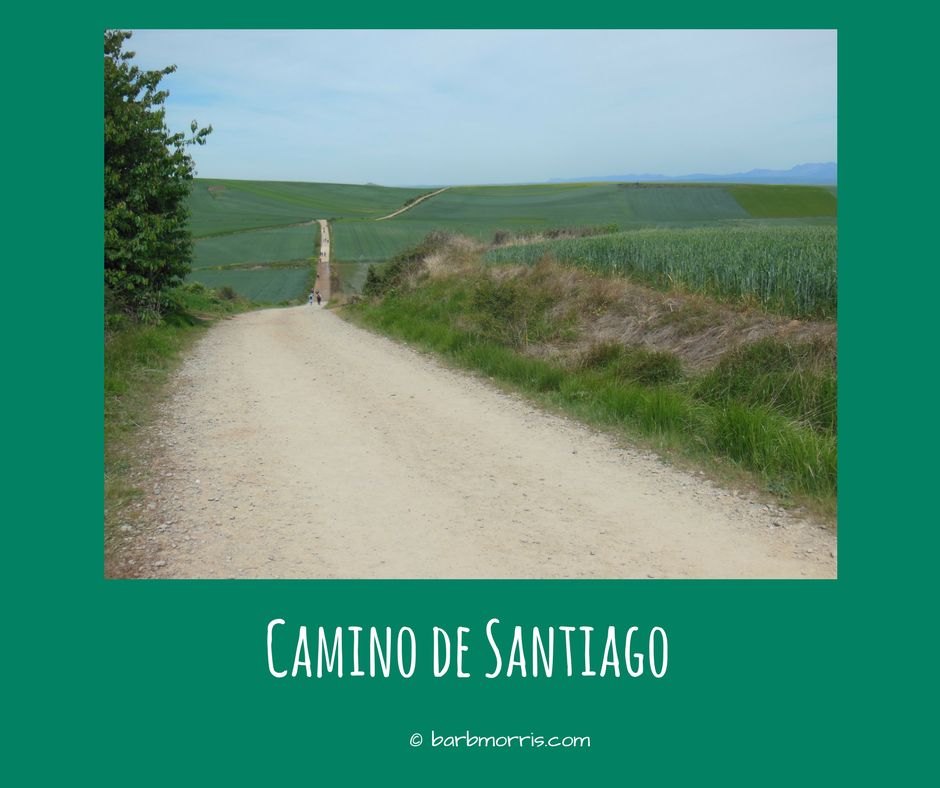 Barb Morris Camino de Santiago