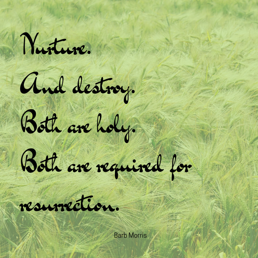 Nurture. And destroy. Both are holy. Both are required for resurrection. 