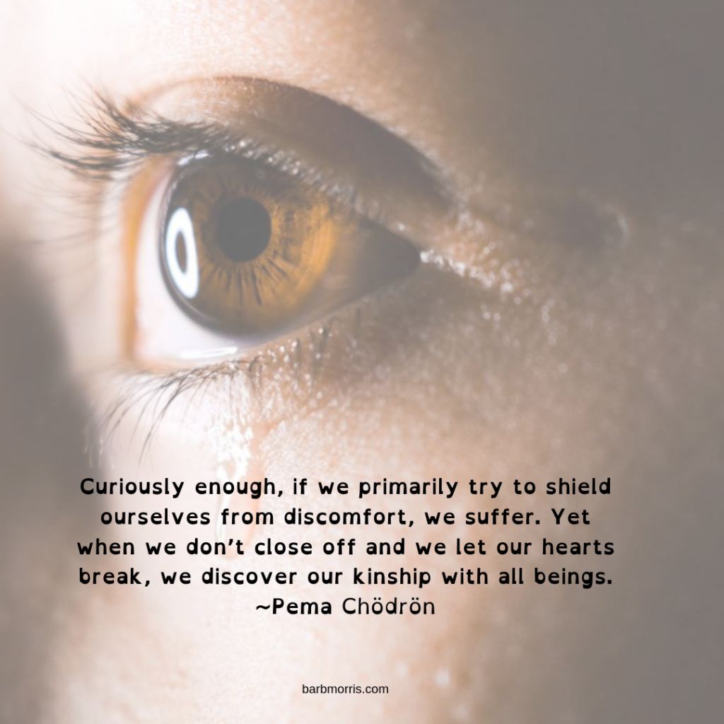 "Curiously enough, if we primarily try to shield ourselves from discomfort, we suffer... when we let our hearts break, we discover our kinship with all beings."  Pema Chodron