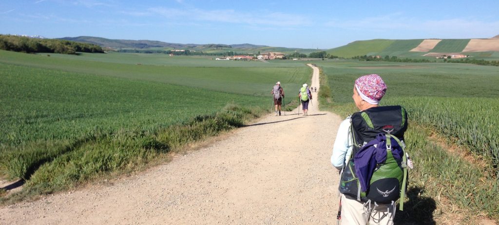 On the Camino de Santiago